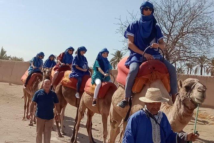 Marrakech kameltur i palmelund
