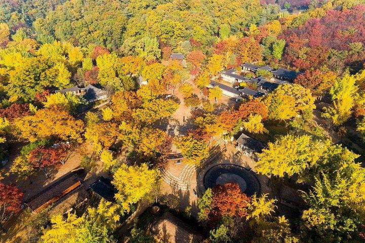 VIP Private Nami Island & Petite France & Garden of morning calm