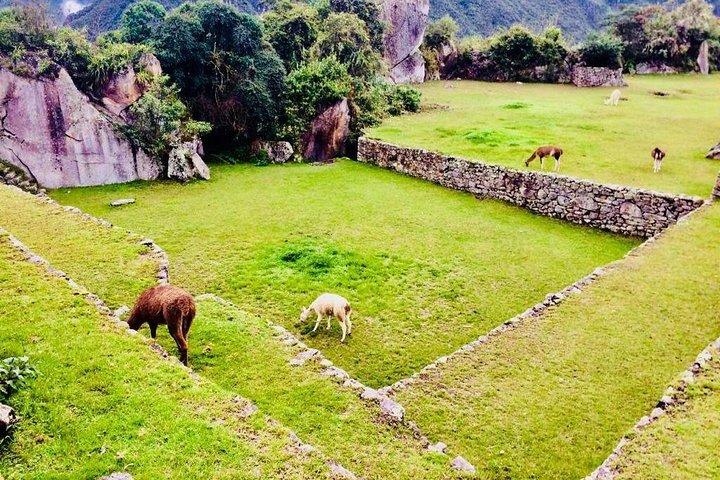 Machu Picchu merveille du monde moderne