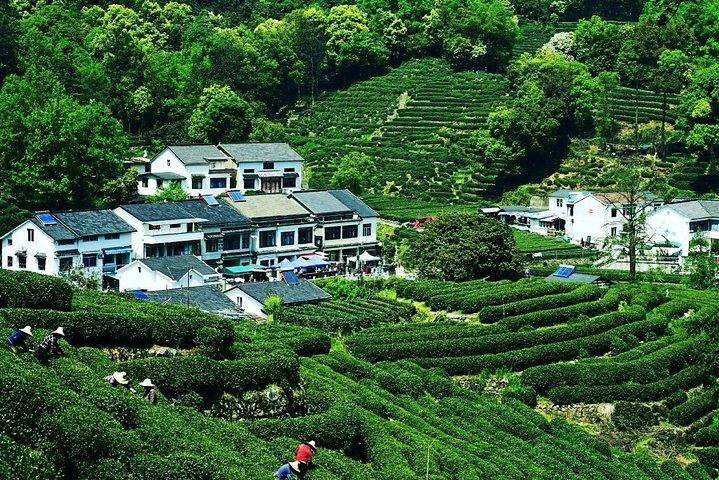 Tour privato di 3 giorni a Shanghai Hangzhou e Suzhou con visita alla città acquatica di Zhouzhuang