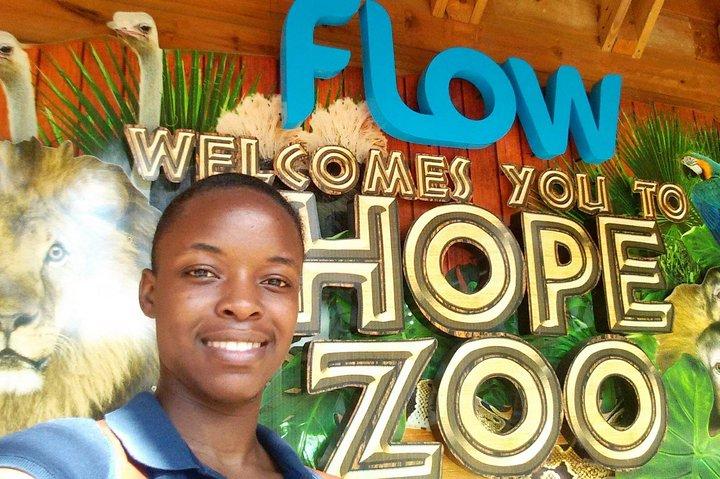 3 in 1 - Hope Zoo, Devon House and Boardwalk Beach