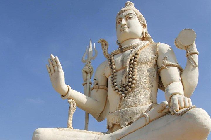 Aperçu de la faune et des pas de Gandhi Gujarat Tour (10 jours)