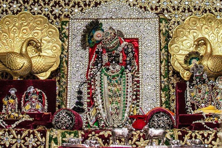 Aperçu de la faune et des pas de Gandhi Gujarat Tour (10 jours)
