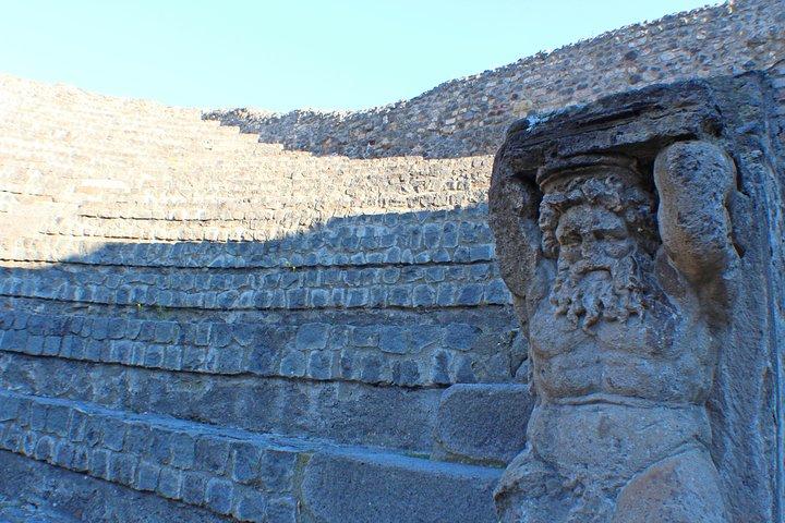 Private Pompeii & Herculaneum Archaeological sites tour from Rome