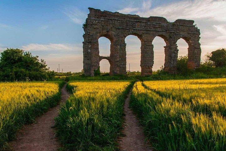 Esclusivo Rome Explorer: Tour Personalizzato e Autista