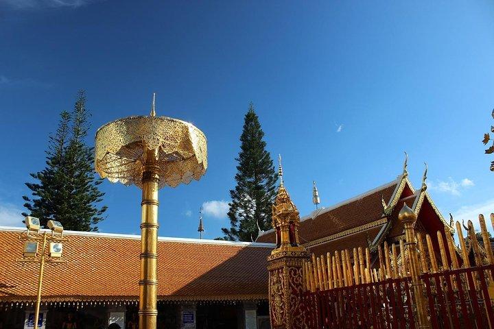 Bästa Six Chiang Mai Temple Tour + Doi Suthep inklusive lunch (minst 2 st)