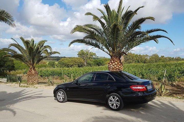 Dagstur fra Trapani eller San Vito Lo Capo til Palermo og Monreale