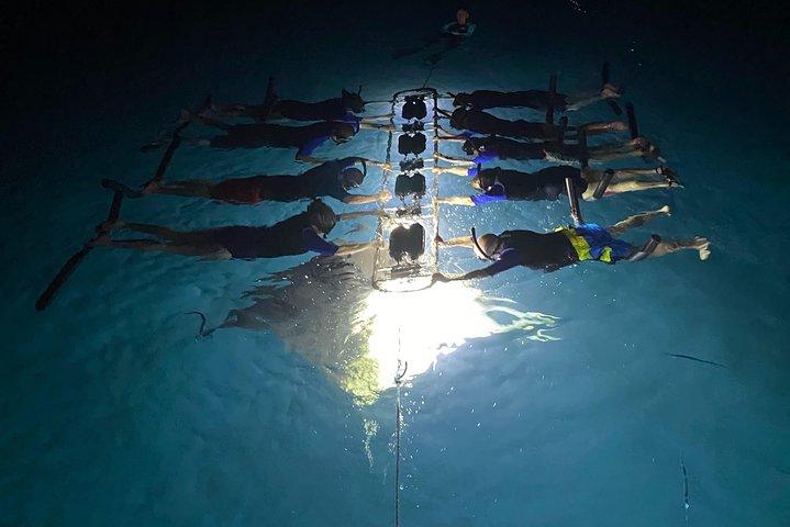 Manta Snorkel a tarda notte