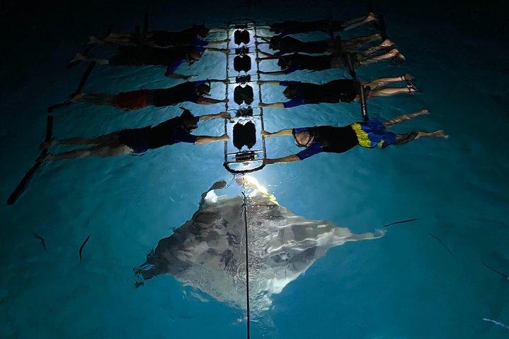 Manta Snorkel a tarda notte