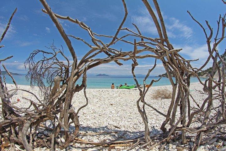 イサカ島周辺のケファロニアからの日帰り旅行