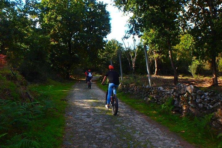 セルフガイドEバイクツアー：カミノデサンティアゴ