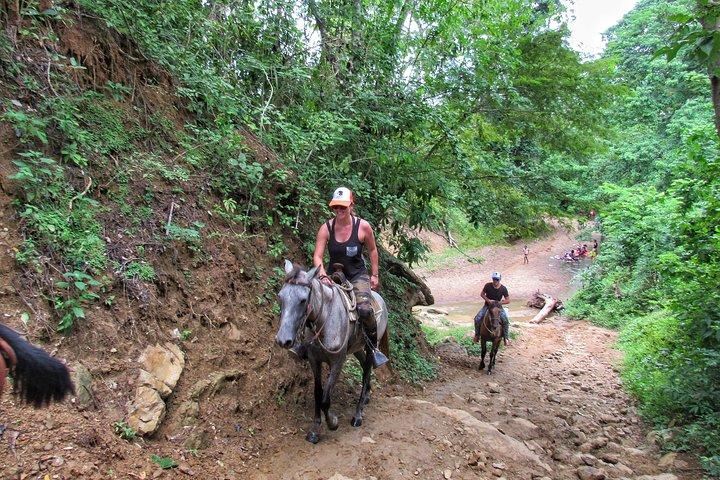 Discover a nature reserve on horseback