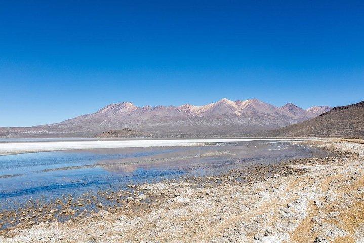 Fullday: Lagune Salinas d'Arequipa