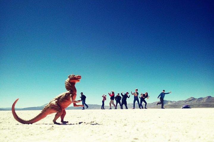 Fullday: Lagune Salinas d'Arequipa