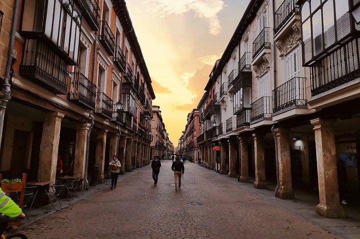 Tour guidato di Alcala de Henares e Cervantes da Madrid