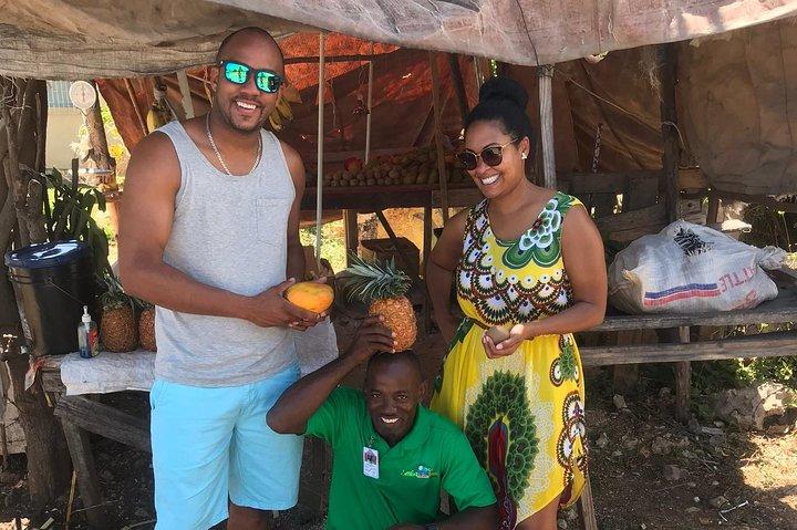 Udforsk, Montego Bay fremhæve City Tour og shopping.