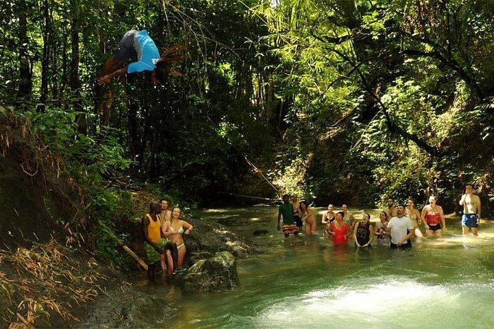 Mayfield Falls from Montego Bay