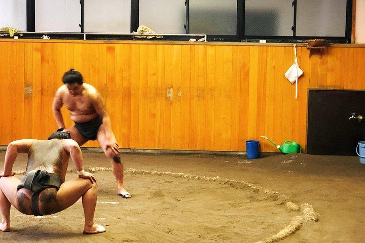 Se Sumo Morning Practice i Stable i Tokyo