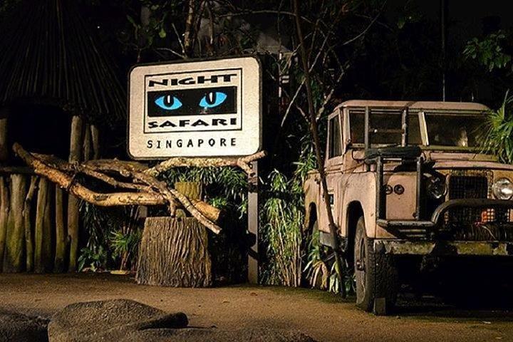 Biglietto Safari Notturno Compreso Tram