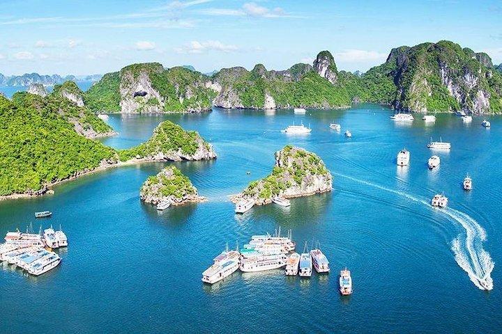Luxo Halong Bay - dia inteiro - Ônibus de limusine na estrada