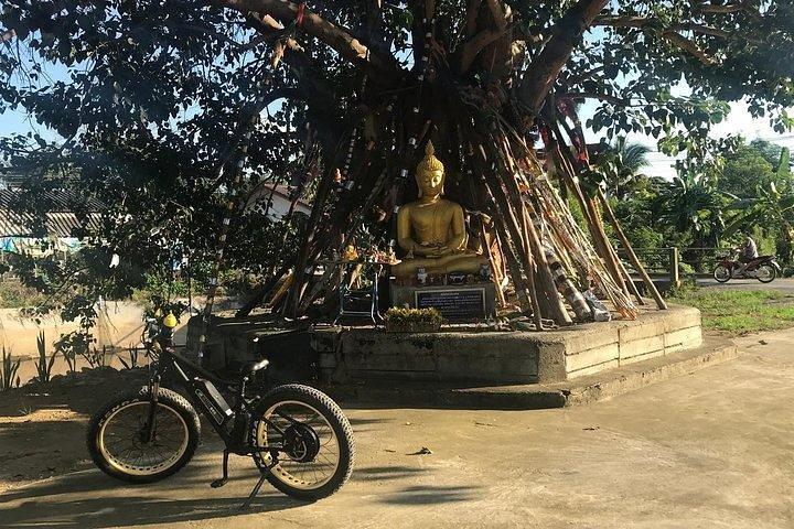 Full-day E-bike visit Lamphun (flat land, GUIDED)