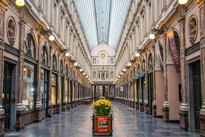地元の人と一緒にブリュッセルの芸術と文化を探索する