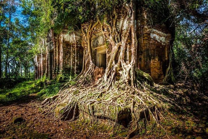 Koh Ker & Beng Mealea-ekskursion Deltagertur - Gratis afhentning af hotel