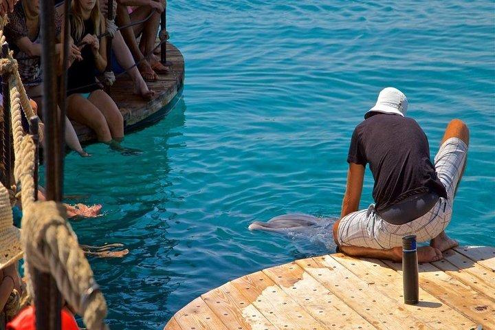 Snorkeltur vid Satayh delfinrev