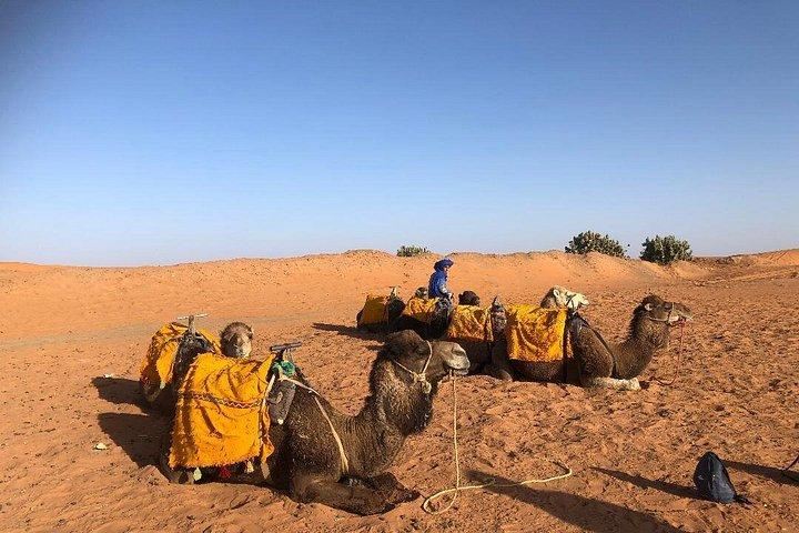 Privat 3-dages Sahara-ørkeneventyr