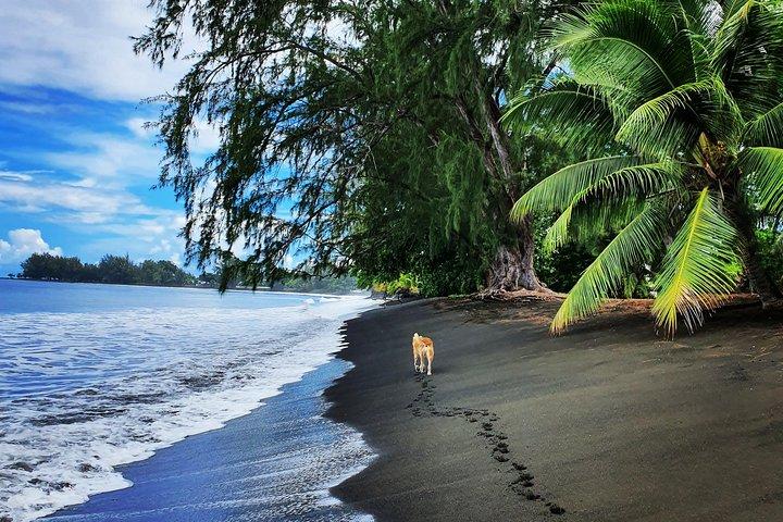 Einzigartige Tahiti Tour - personalisierte, kleine Gruppe Ostküstentour