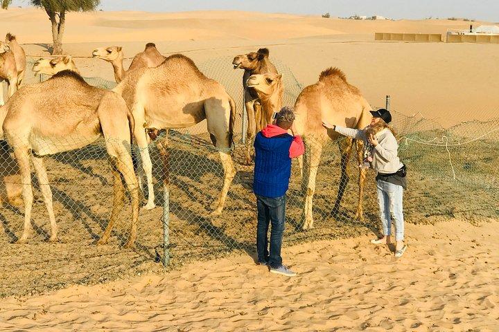 Sunrise Desert Safari com quadriciclo e sandboard,