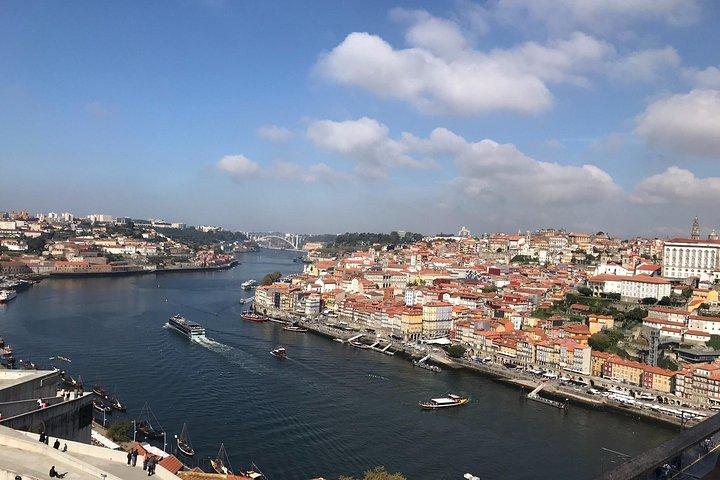 Porto + port wine cellar visit & tasting and sardine factory tour