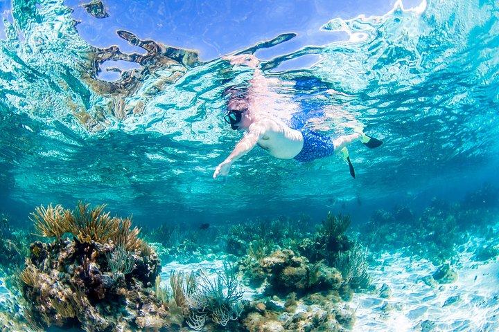 Grand Cayman Kittiwake and Reef Sail
