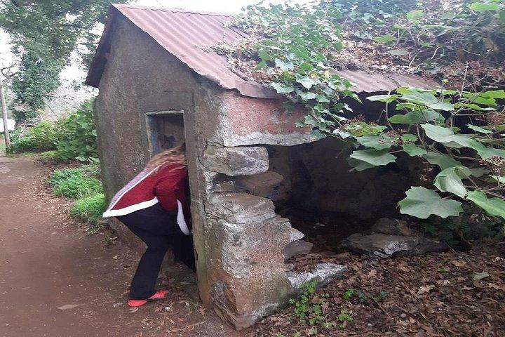 Madeira: Private Guided Walk Levada da Serra do Faial - Camacha