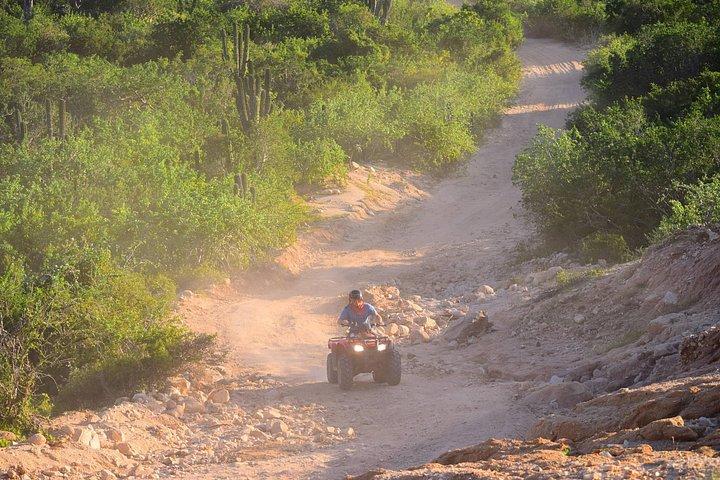 Cabo Original Real Baja 1000 Tour (Single ATV)