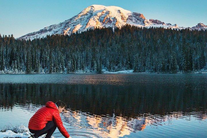 Il meglio del Parco Nazionale del Monte Rainier da Seattle: tour all inclusive per piccoli gruppi