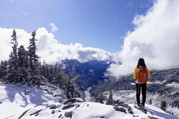 Il meglio del Parco Nazionale del Monte Rainier da Seattle: tour all inclusive per piccoli gruppi