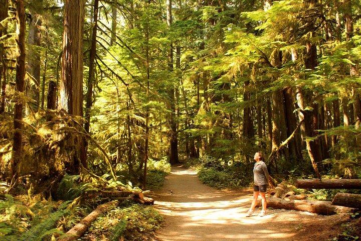 Bedste af Olympic National Park fra Seattle: All-Inclusive Small-Group Day Tour