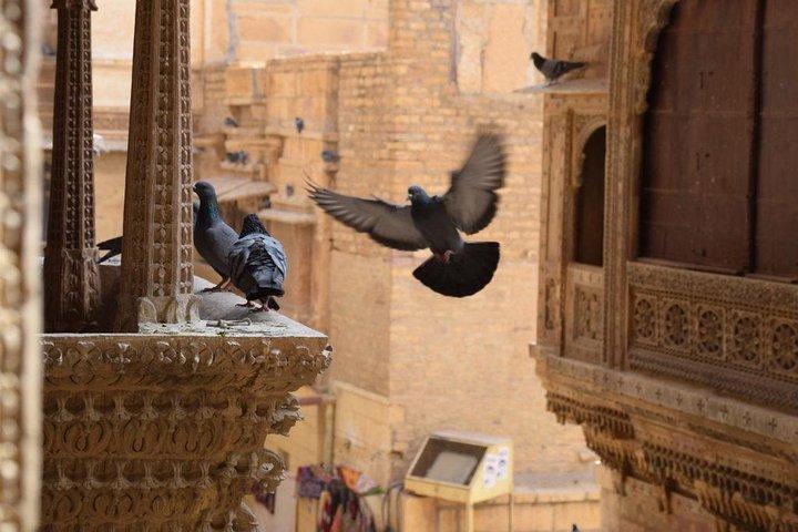 Privat heldagstur i Jaisalmer med guide