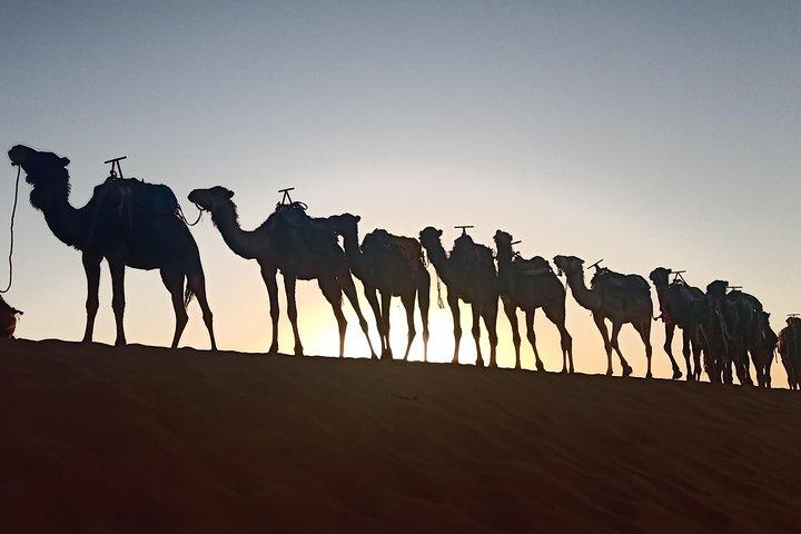 Merzouga-woestijn 3-daagse tour vanuit Marrakech