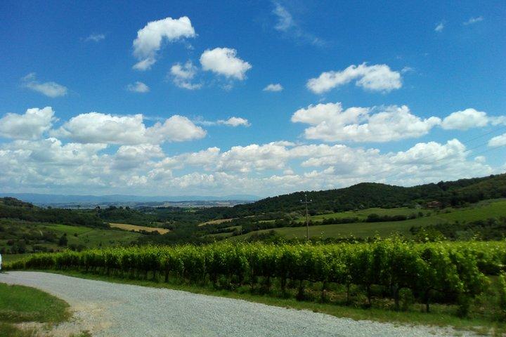 Montalcino og Pienza Toscana Wine & Cheese Fullday fra Rom