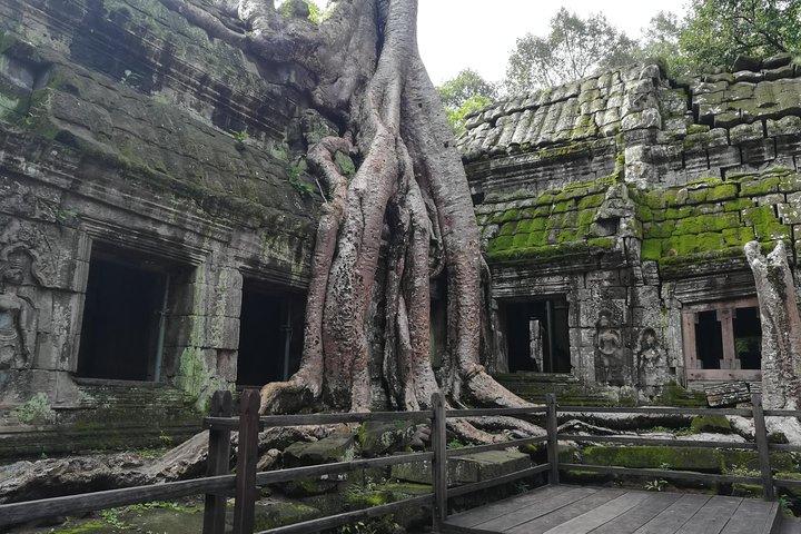 Half Day Angkor Wat Sunrise Private Tour