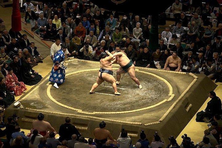 アルティメット相撲大会： 東京、大阪、名古屋、福岡