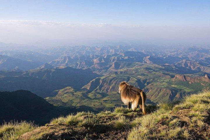 Four Days Simien Mountains Trekking