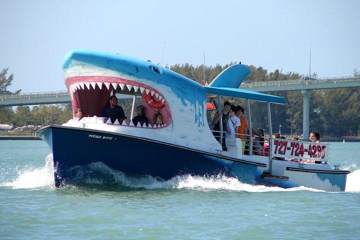Mega Bite Dolphin Tour in barca a Clearwater Beach