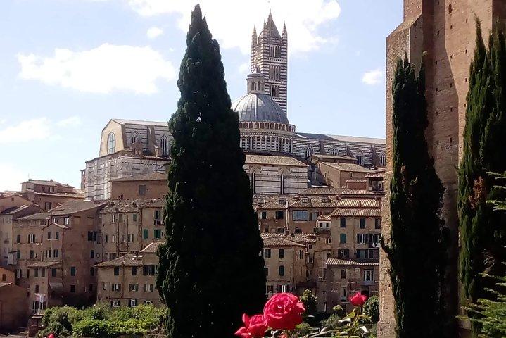 Visita guiada privada a pie de Siena de 2 horas