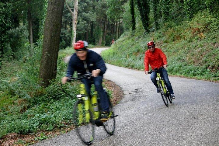 リスボンから：シントラからカスカイス全日Eバイクツアー