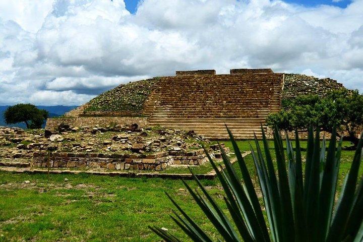 Genießen Sie alle Pyramiden von Oaxaca in einer privaten Tagestour: Monte Alban, Mitla, Dainzú