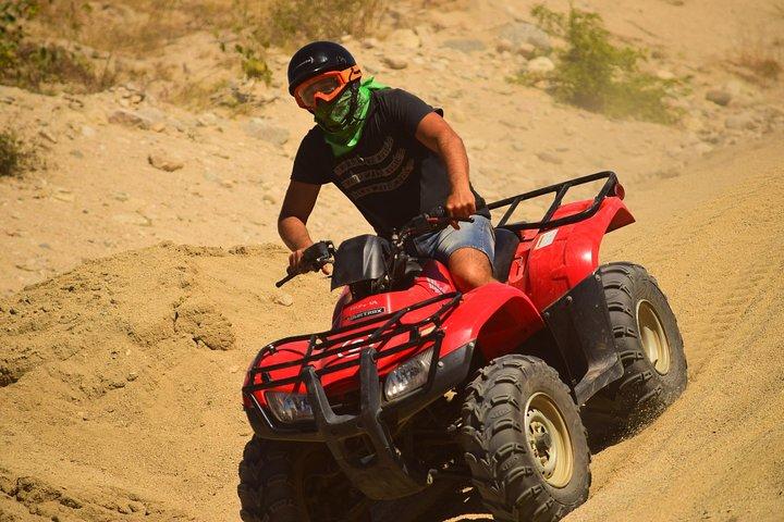 Cabo Candelaria Village Adventure + Tequila Tasting