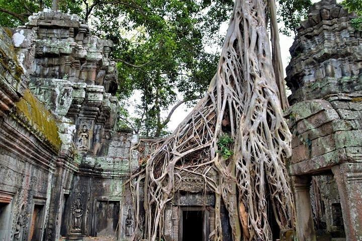 Heldags templer i Angkor Small Group Tour - Gratis hotel afhentning